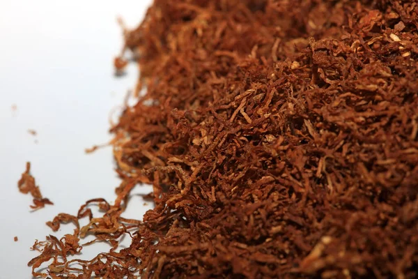 Yuvarlanan tütün kuru yaprakları makro arkaplan stok fotoğrafçılığı yüksek kaliteli baskı