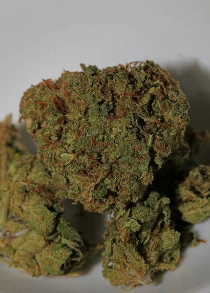 Marihuana Medicinal Super Lemon Haze Close Cannabis Moderno Impresión Alta — Foto de Stock