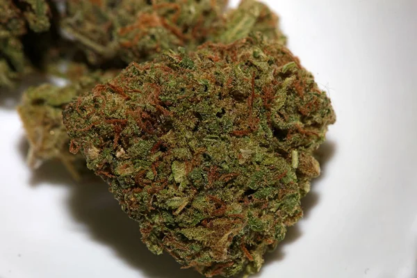 Marihuana Medicinal Super Lemon Haze Close Cannabis Moderno Impresión Alta — Foto de Stock