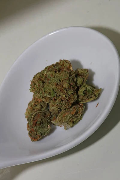 Marihuana Medicinal Super Lemon Haze Close Cannabis Moderno Impresión Alta —  Fotos de Stock