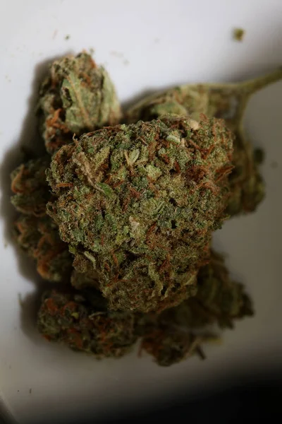 Marihuana Medicinal Super Lemon Haze Close Cannabis Moderno Impresión Alta — Foto de Stock