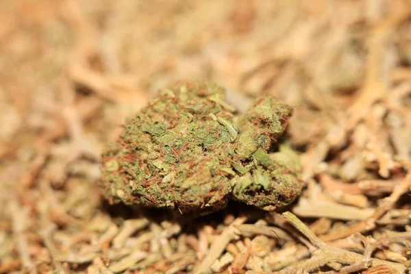 Marihuana Médica Super Limão Neblina Fundo Macro Moderno Desfocado Cinquenta — Fotografia de Stock