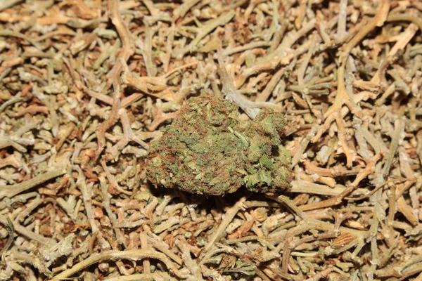 Marihuana Medicinal Super Limón Neblina Borrosa Macro Moderno Fondo Cincuenta —  Fotos de Stock