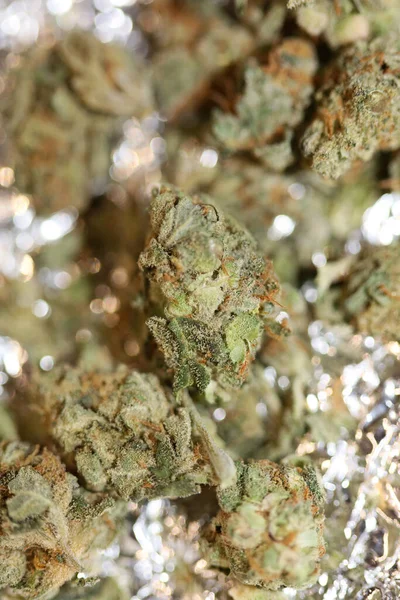 Medizinische Marihuana Super Lemon Kush Nahaufnahme Moderner Hintergrund Qualitativ Hochwertiger — Stockfoto