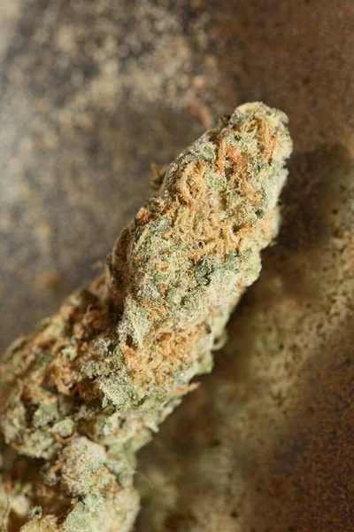 Medical Cannabis Super Lemon Haze Skank Macro Modern Background High — Stock Photo, Image