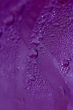 Cam yüzey kenarındaki su damlacıklarının makro atışları Sıvı damlaları yakın çekim modern arka plan kalıpları yüksek kaliteli baskılar