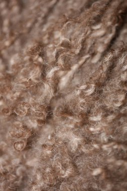 Köpek kahverengi kıvırcık saçlar lagotto romagnolo soyut arka plan modern yüksek kalite büyük boy baskılar