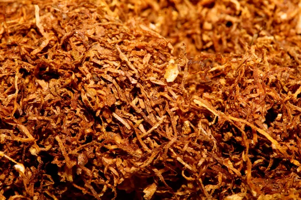 Rolling Tobacco Leaves Close Background Stock Fotografia Wysokiej Jakości Druki — Zdjęcie stockowe
