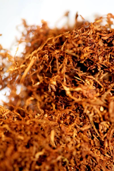 Rolling Tabak Blätter Nahaufnahme Hintergrund Stock Fotografie Hohe Qualität Großformatabzüge — Stockfoto