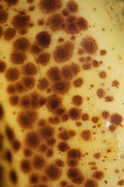 Siyah noktalı olgunlaşmış muz soyut arkaplanı kapat yüksek kalite büyük yazdırma