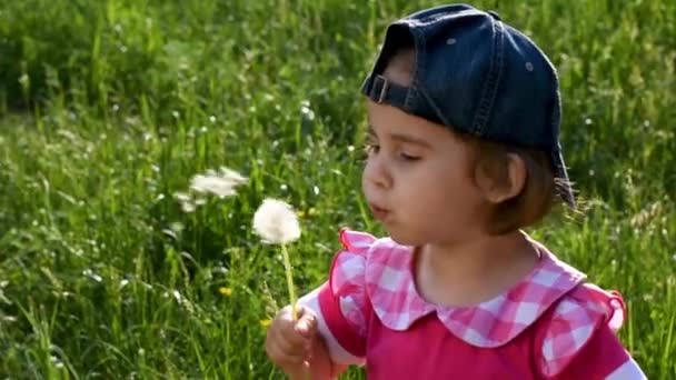 민들레를 불어 대는 행복 한아이. 빨간 옷을 입고 공원에서 야구 모자를 쓰고 있는 소녀 — 비디오