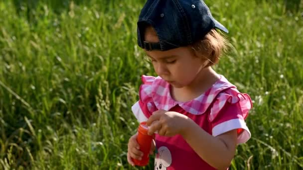 Cute little girl blowing soap bubbles in the park — Stock Video