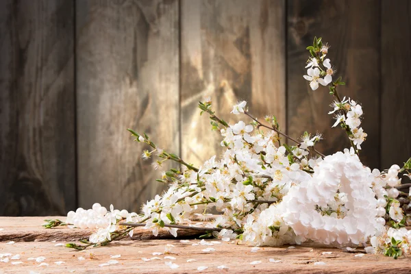 Fleurs printanières sur bois — Photo