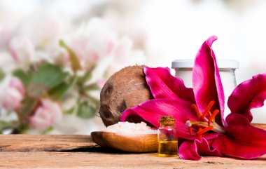spa masaj ayarlama