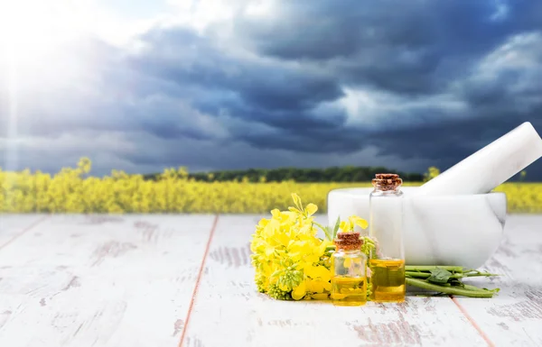 Óleo de estupro e flor — Fotografia de Stock