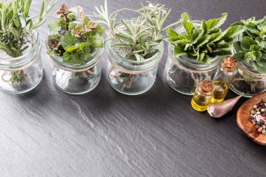 Siyah taş arka planda bitkiler