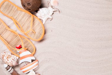 kumlu sahilde kabukları