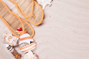 kumlu sahilde kabukları