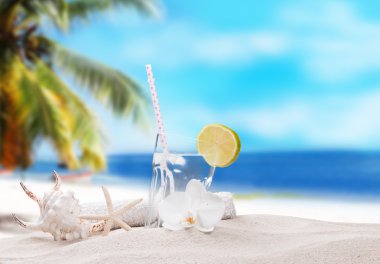 Yaz nesne. Egzotik plaj arka plan.