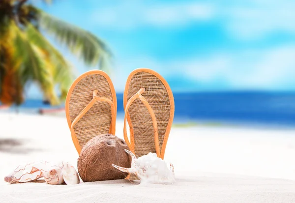 Conceito de verão, chinelos — Fotografia de Stock