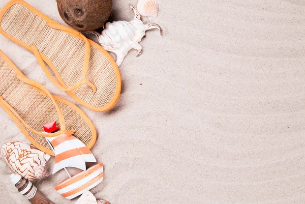 kumlu sahilde kabukları