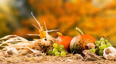 Sonbahar natürmort kavramı