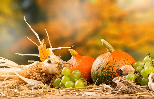 Autumn still life concept — Stock Photo, Image