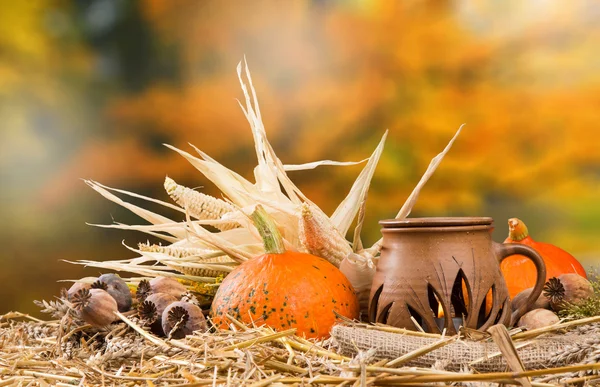 Autumn still life concept — Stock Photo, Image