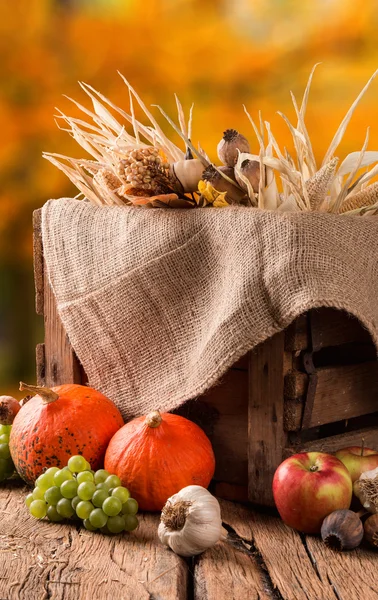 Autumn still life concept — Stock Photo, Image