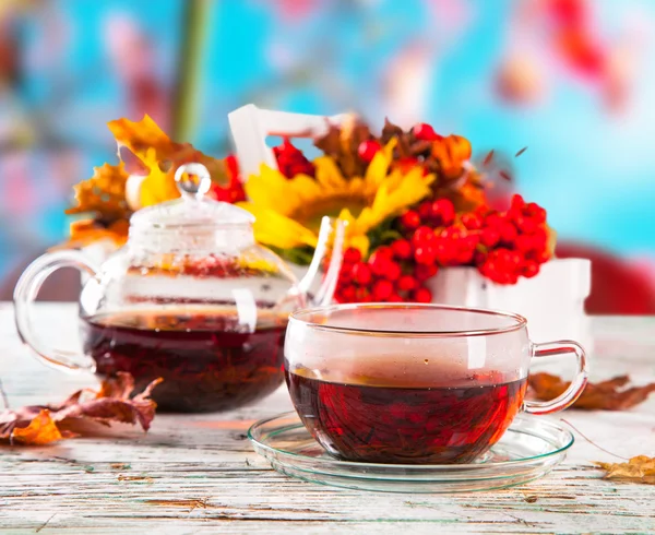 Cup of tea — Stock Photo, Image