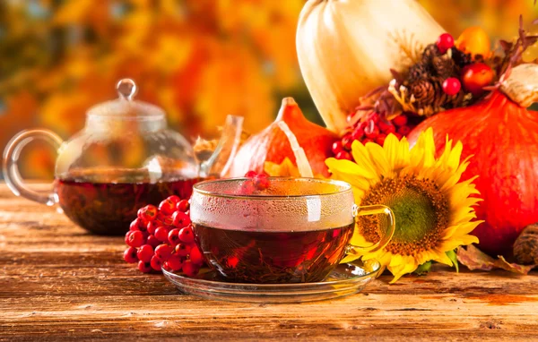 Cup of tea — Stock Photo, Image