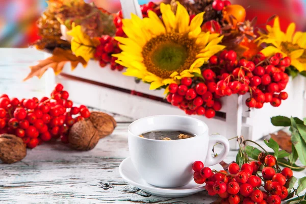 Tazza di tè — Foto Stock