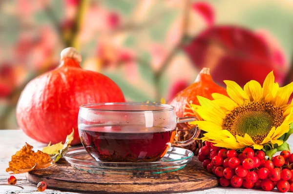 Tazza di tè — Foto Stock