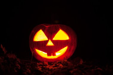 Cadılar Bayramı Balkabağı