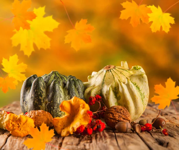 Autumn concept — Stock Photo, Image