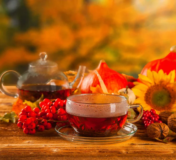 Cup of tea — Stock Photo, Image