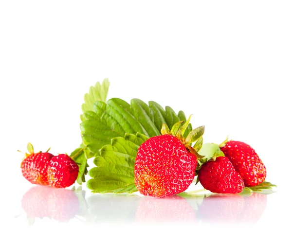 stock image Strawberries