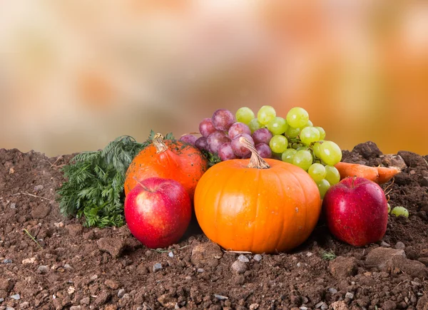 Herbstliches Naturkonzept — Stockfoto