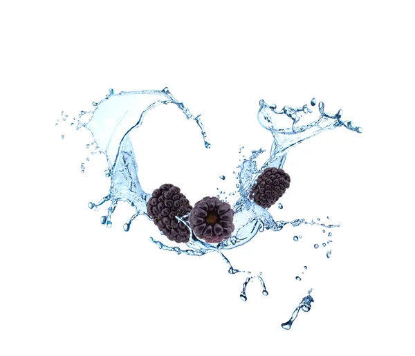 Splash Water με βατόμουρα — Φωτογραφία Αρχείου