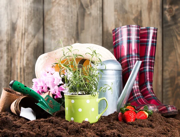 Garden tools, garden concept — Stock Photo, Image