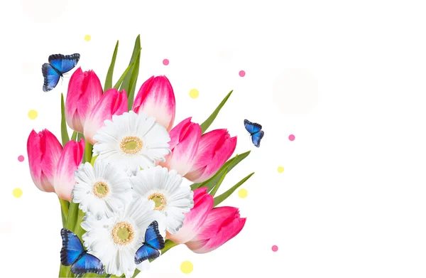 Gänseblümchen, Tulpen und Schmetterling isoliert — Stockfoto