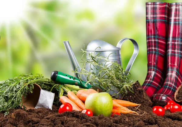 Gartengeräte, Gartenkonzept — Stockfoto