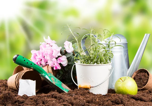 Garden tools, garden concept — Stock Photo, Image