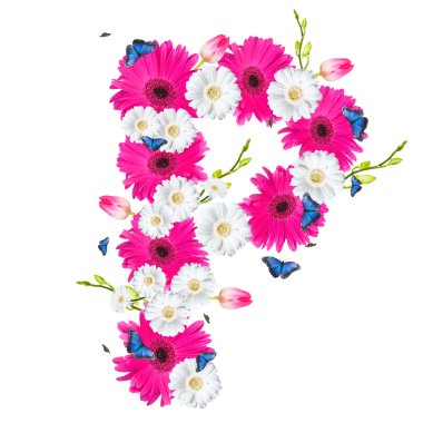 Alfabe, üzerinde beyaz izole çiçek