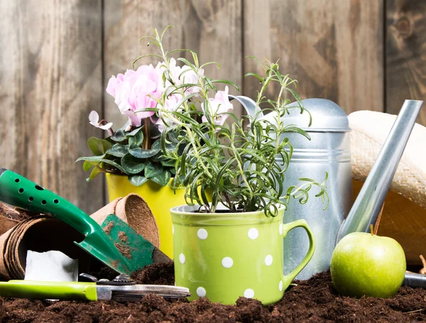 Trädgårdsprodukter, trädgård koncept — Stockfoto