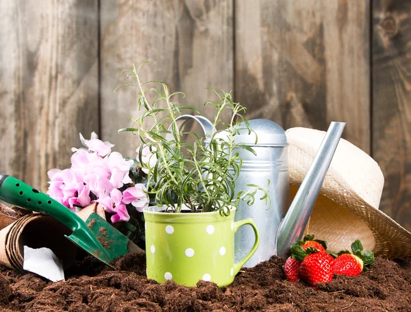 Herramientas de jardín, concepto de jardín —  Fotos de Stock