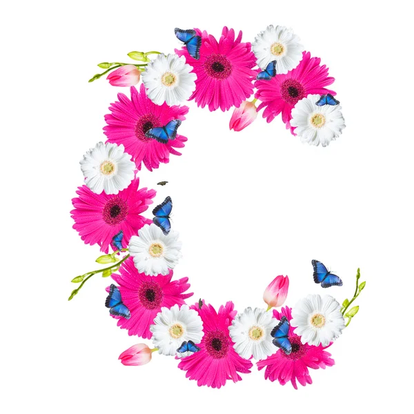 Alphabet, Blume isoliert auf Weiß — Stockfoto