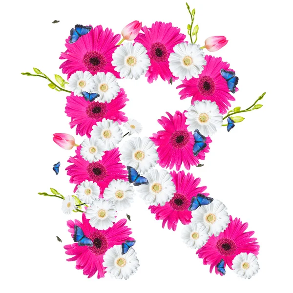 Alfabet, geïsoleerd op witte bloem — Stockfoto