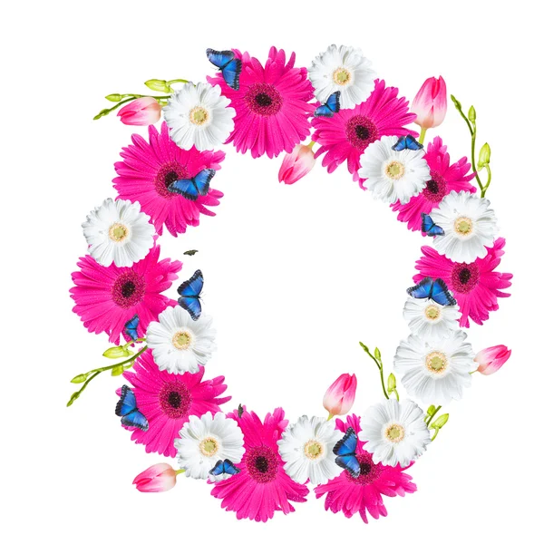 Alphabet, Blume isoliert auf Weiß — Stockfoto