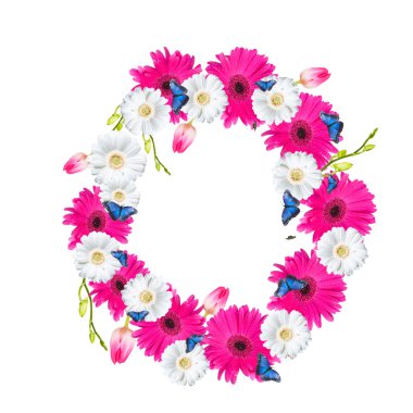 Beyaz izole numarası O çiçek